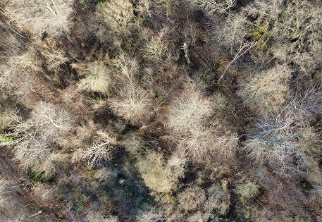 Photo du Vexin-français vue par drone